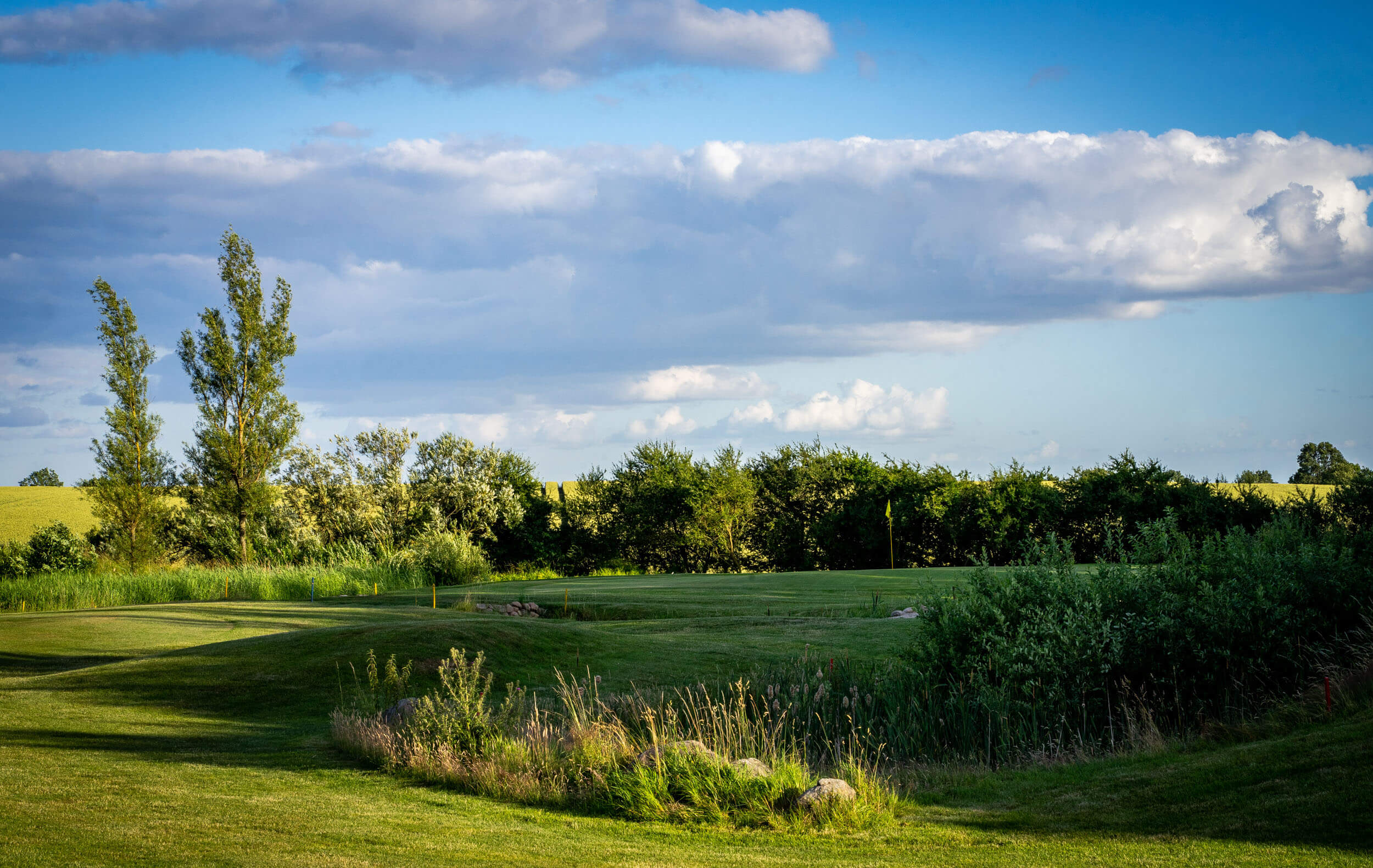 Golfclub Plöner See Blick auf Grün