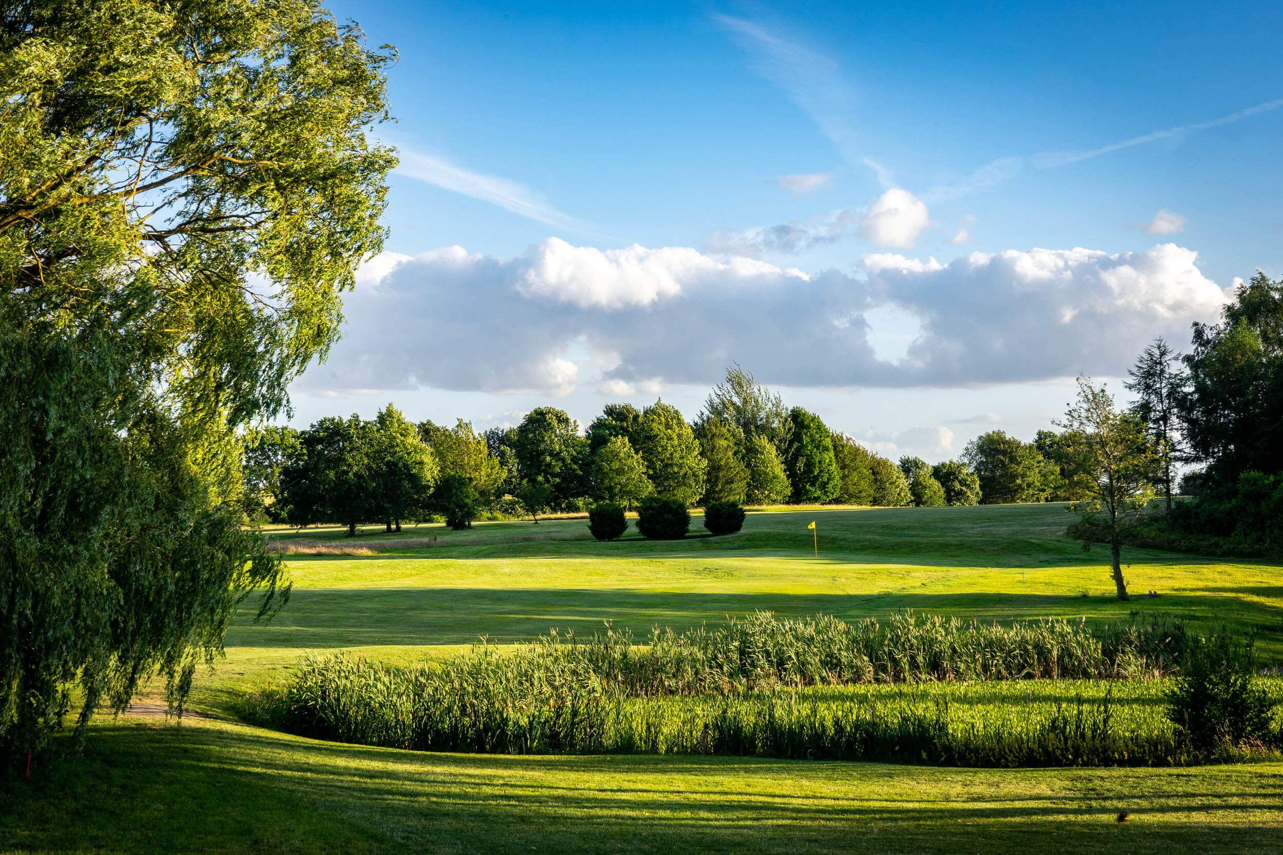 Golfclub Plöner See Blick auf Grün